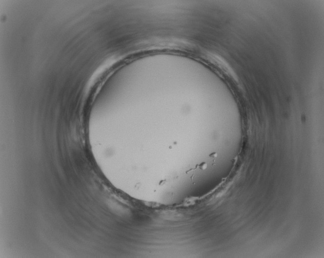 X0000076451172200610271816