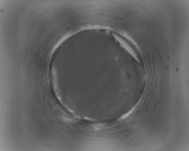 X0000076451173200610271816