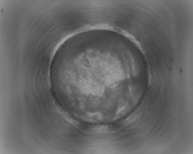 X0000076451174200610271816