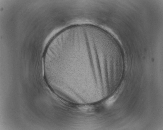 X0000076451175200610271816