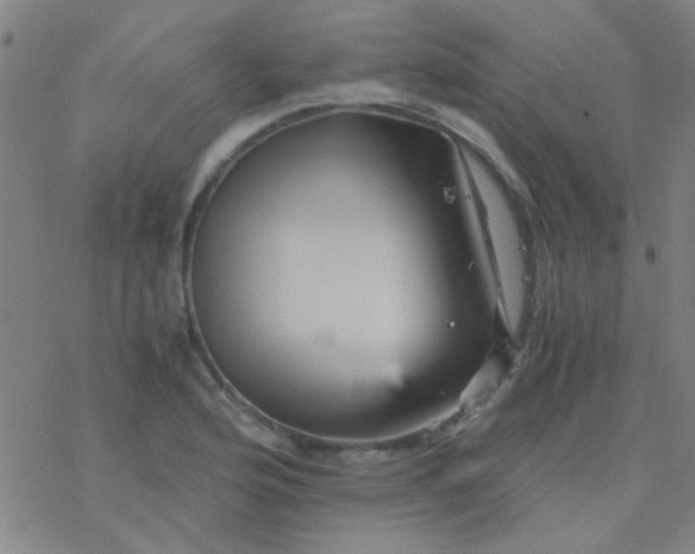 X0000076451176200610271816