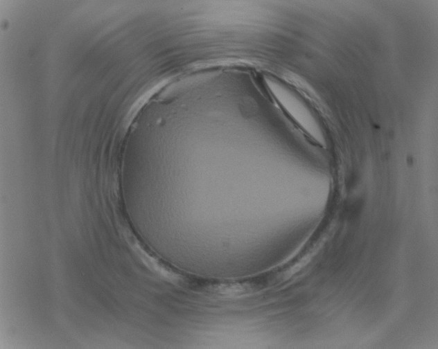 X0000076451177200610271816