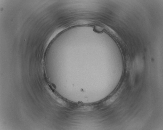 X0000076451178200610271816