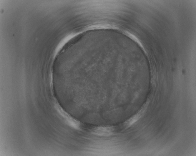 X0000076451179200610271816