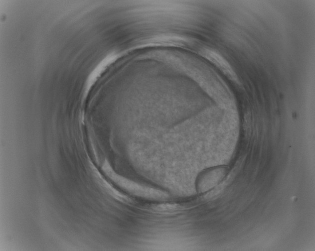 X0000076451180200610271816