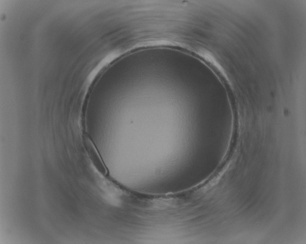 X0000076451181200610271816