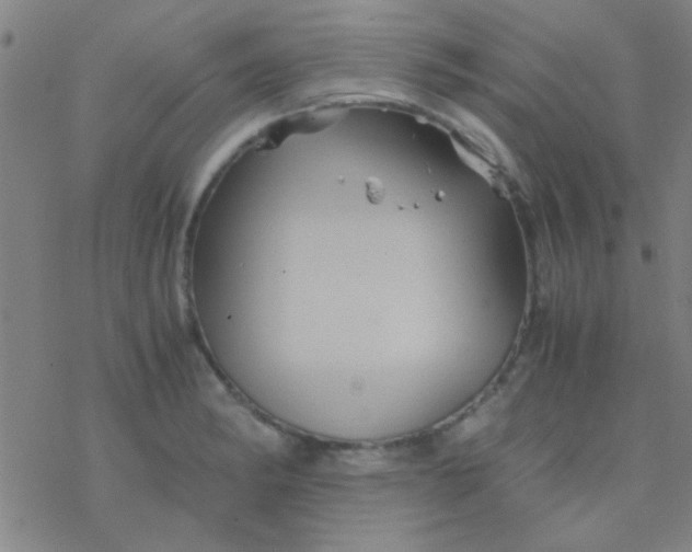 X0000076451182200610271816