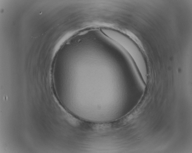 X0000076451183200610271816