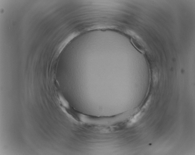 X0000076451185200610271816