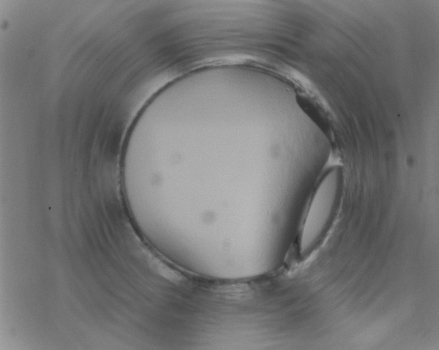 X0000076451186200610271816