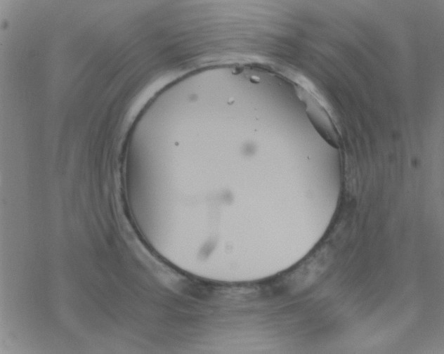 X0000076451187200610271816