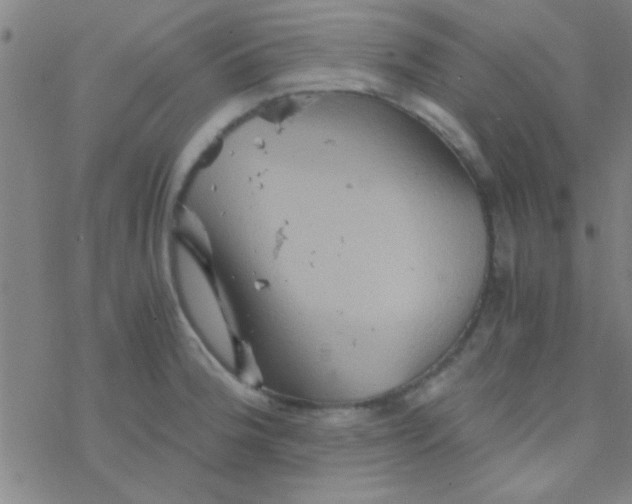 X0000076451188200610271816