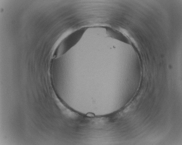 X0000076451189200610271816