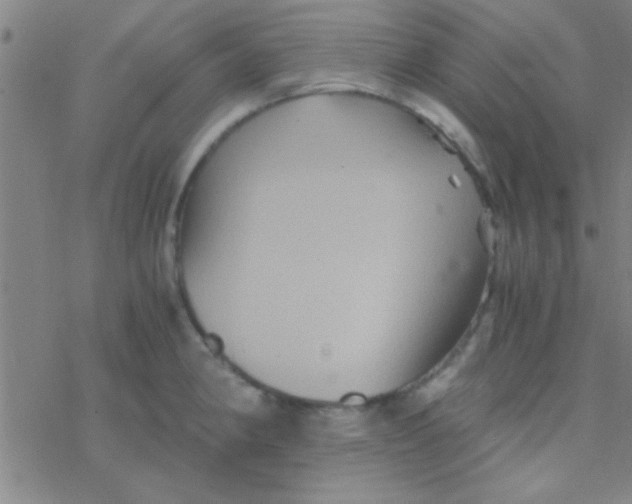 X0000076451190200610271816