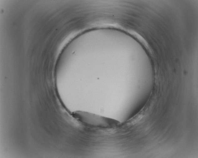 X0000076451191200610271816