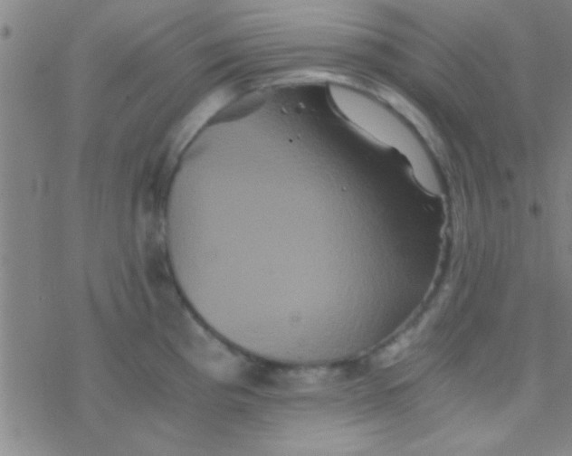 X0000076451193200610271816