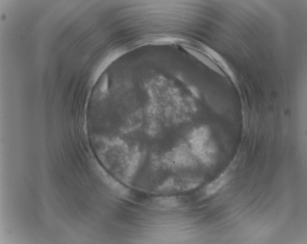 X0000076451194200610271816