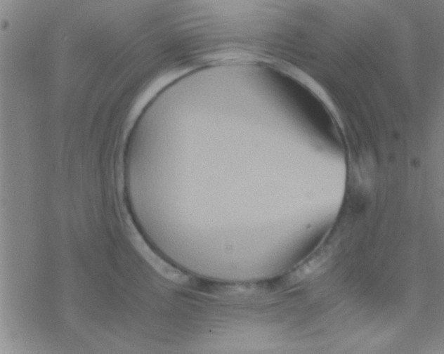 X0000076451195200610271816