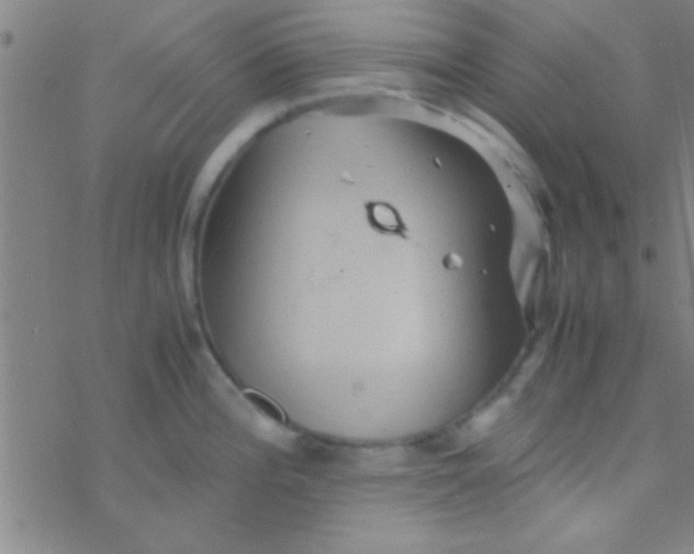 X0000076451196200610271816