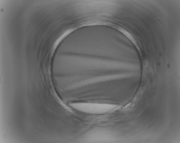 X0000076451197200610271816