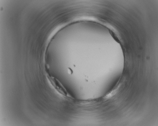 X0000076451199200610271816