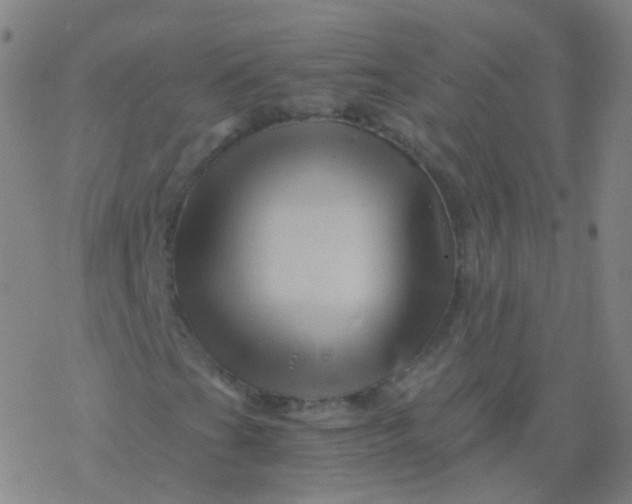 X0000076451201200610271815