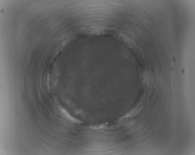 X0000076451202200610271815