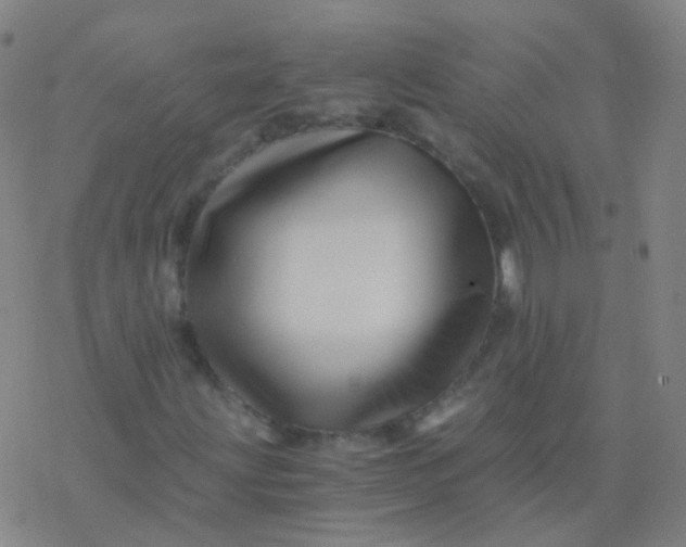 X0000076451203200610271815