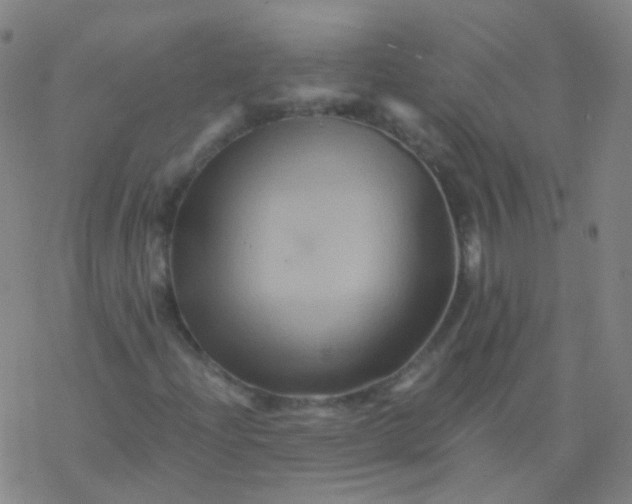 X0000076451204200610271815