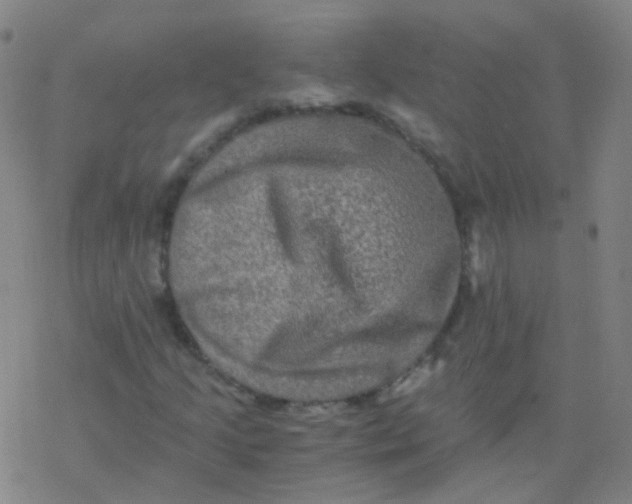 X0000076451205200610271815