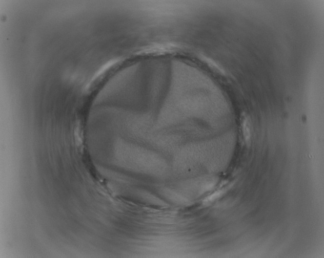 X0000076451206200610271815