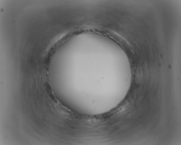 X0000076451207200610271815