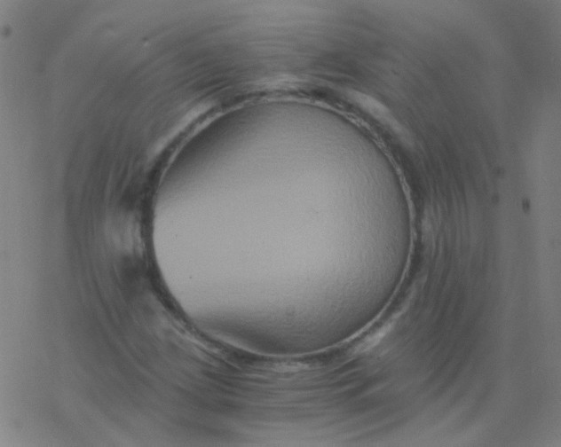 X0000076451209200610271815