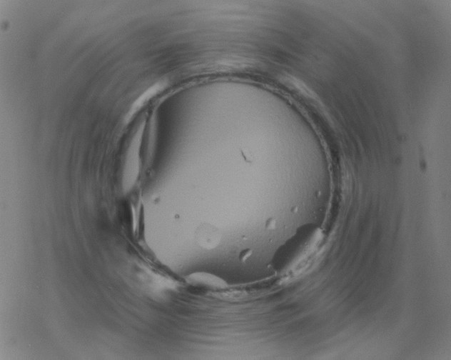 X0000076451210200610271815