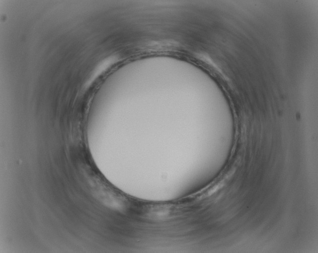 X0000076451211200610271815