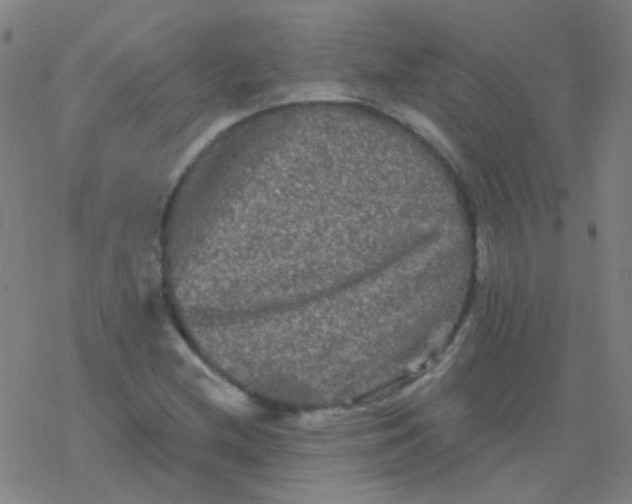 X0000076451212200610271815