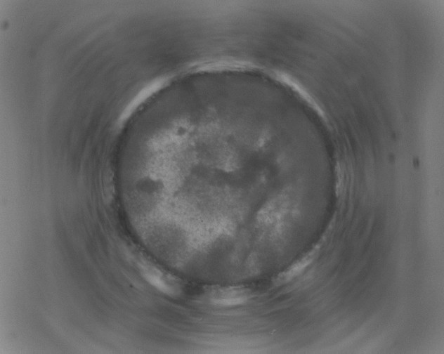 X0000076451213200610271815