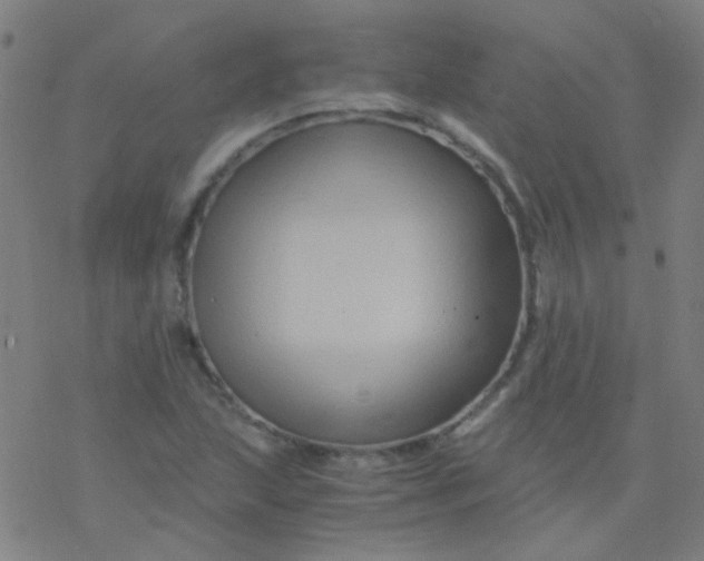 X0000076451215200610271815