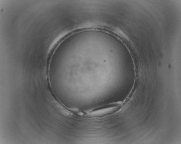 X0000076451216200610271815