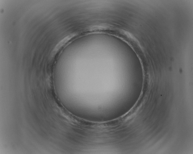 X0000076451217200610271815