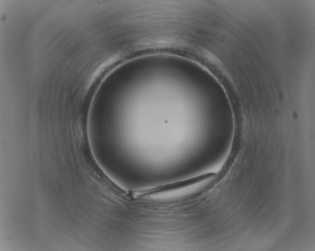 X0000076451218200610271815