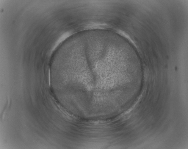 X0000076451219200610271815