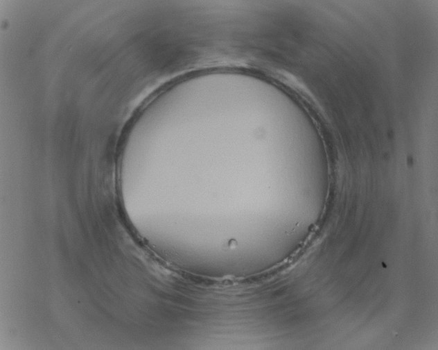 X0000076451220200610271815