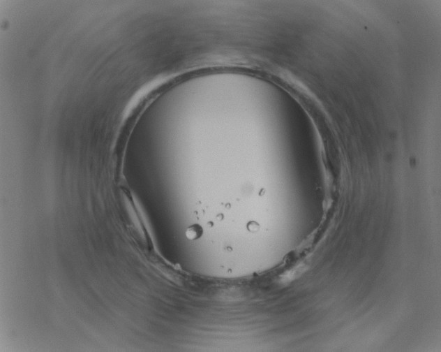 X0000076451222200610271815