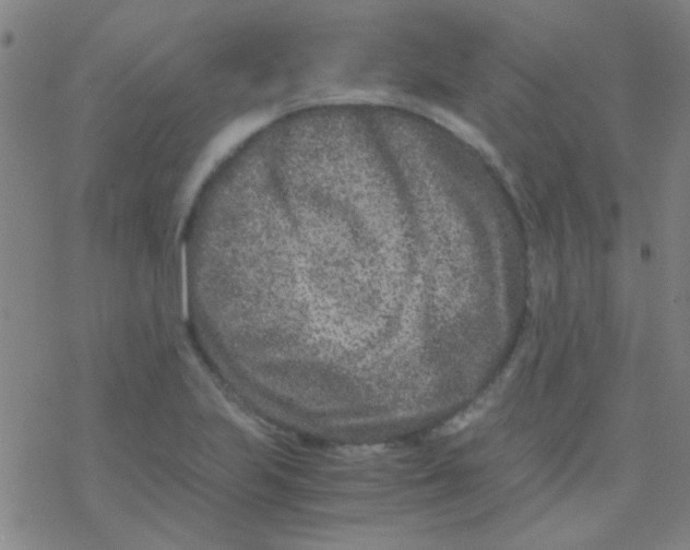 X0000076451223200610271815