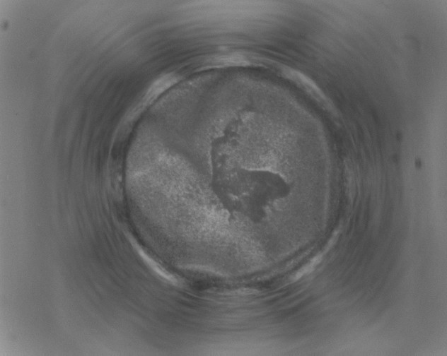 X0000076451225200610271816