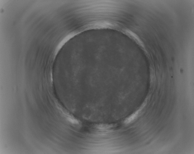 X0000076451226200610271816