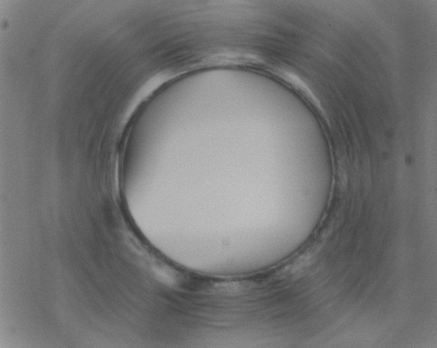 X0000076451227200610271816