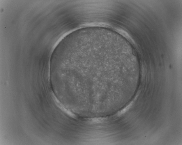 X0000076451228200610271816