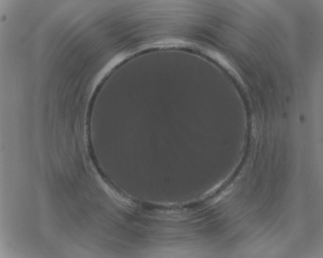 X0000076451229200610271816